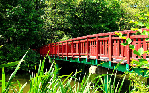 636333 (a): :2560x1600